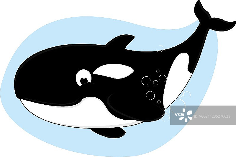 快乐的虎鲸图片素材