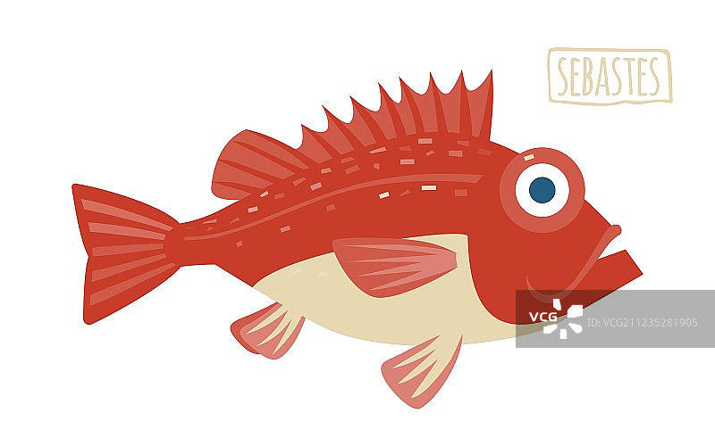 红岩鱼图片素材