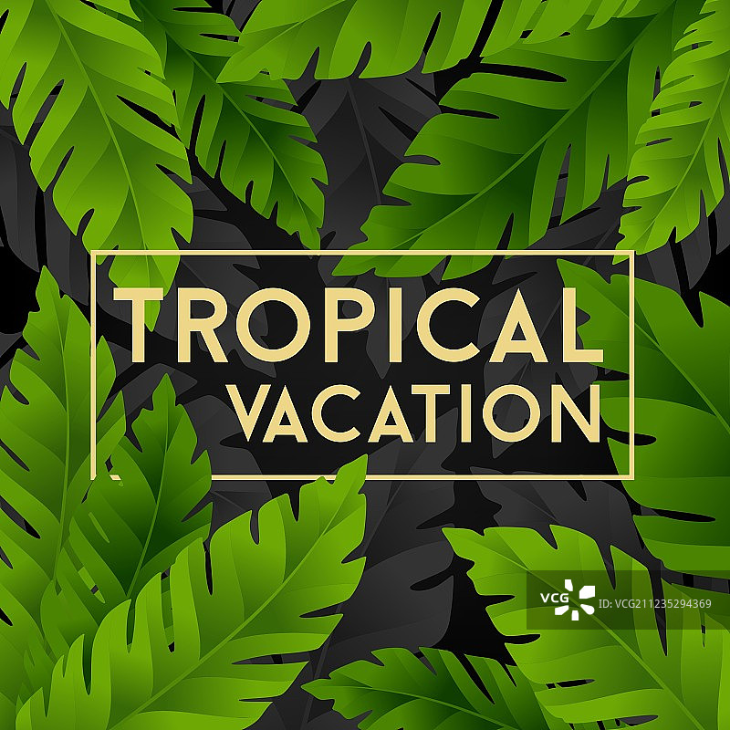 香蕉棕榈叶热带度假卡片图片素材