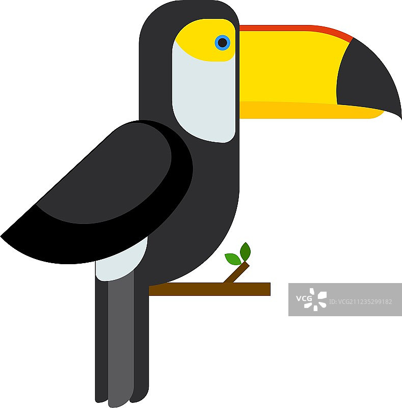 巨嘴鸟栖息在树枝上图片素材