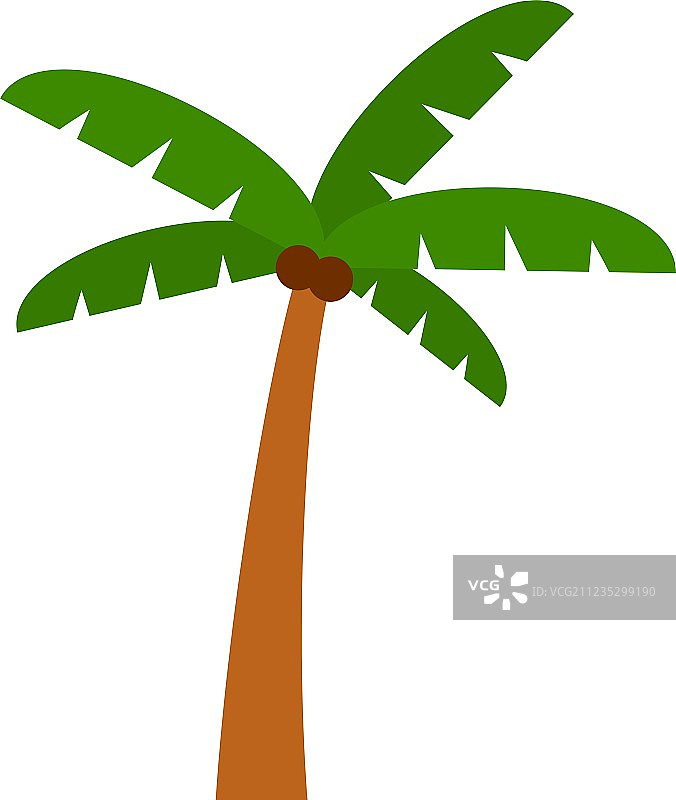 棕榈树图片素材