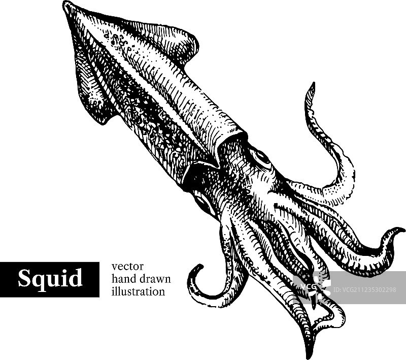 手绘海鲜黑白复古素材图片素材