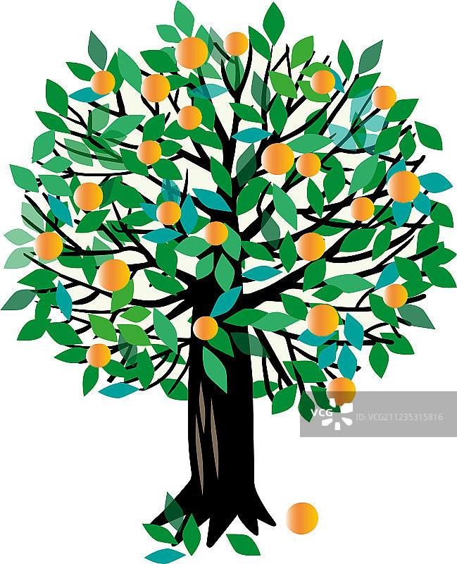 桃树或橘子树图片素材