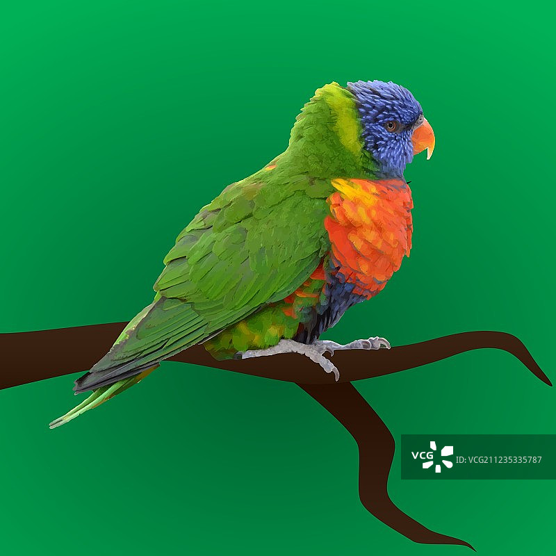 彩色鹦鹉EPS10图片素材