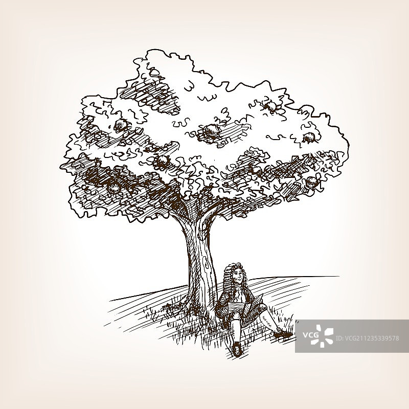 中世纪科学家与苹果树素描图片素材