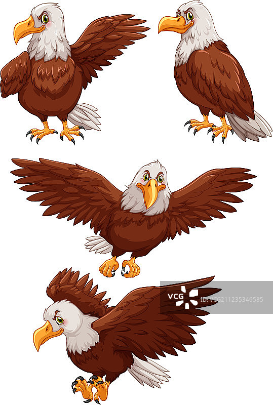 四只不同姿态的鹰图片素材