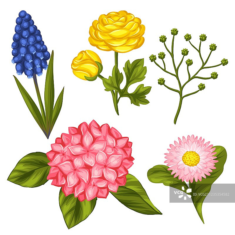 花园花卉装饰绣球花合集图片素材