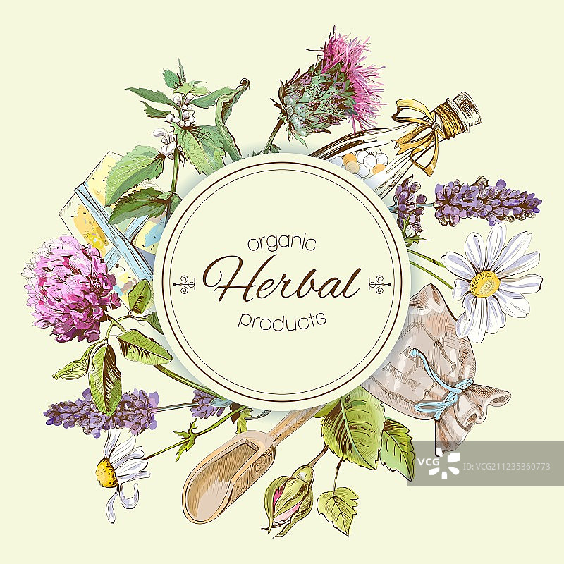 草药复古banner图片素材