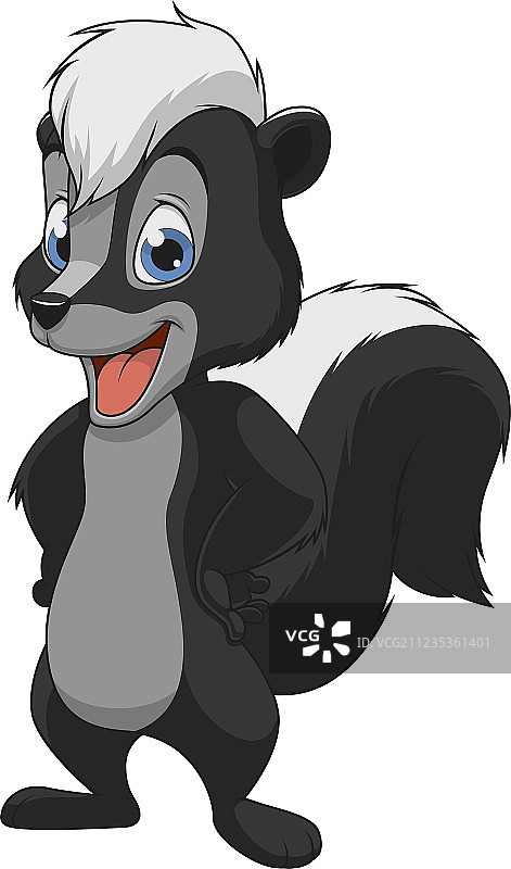 有趣的小臭鼬图片素材