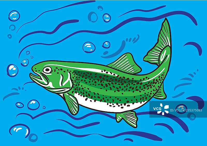 水中的鳟鱼图片素材