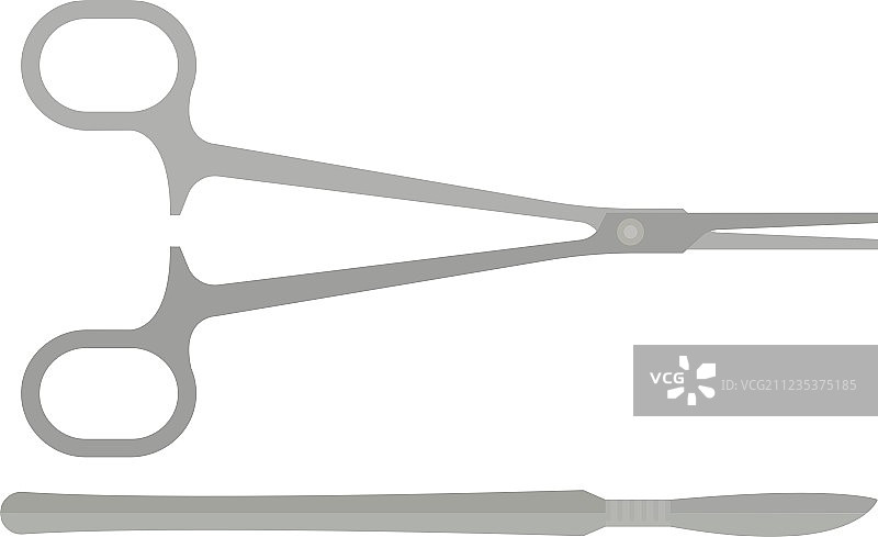 手术刀和夹钳等手术工具图片素材