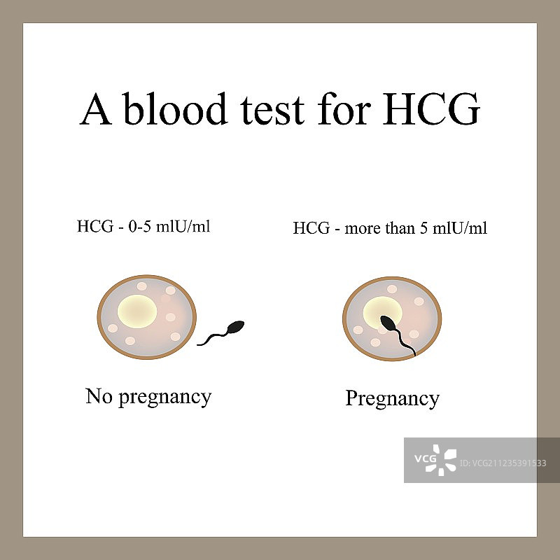 人绒毛膜促性腺激素血液检测，妊娠血液检测图片素材