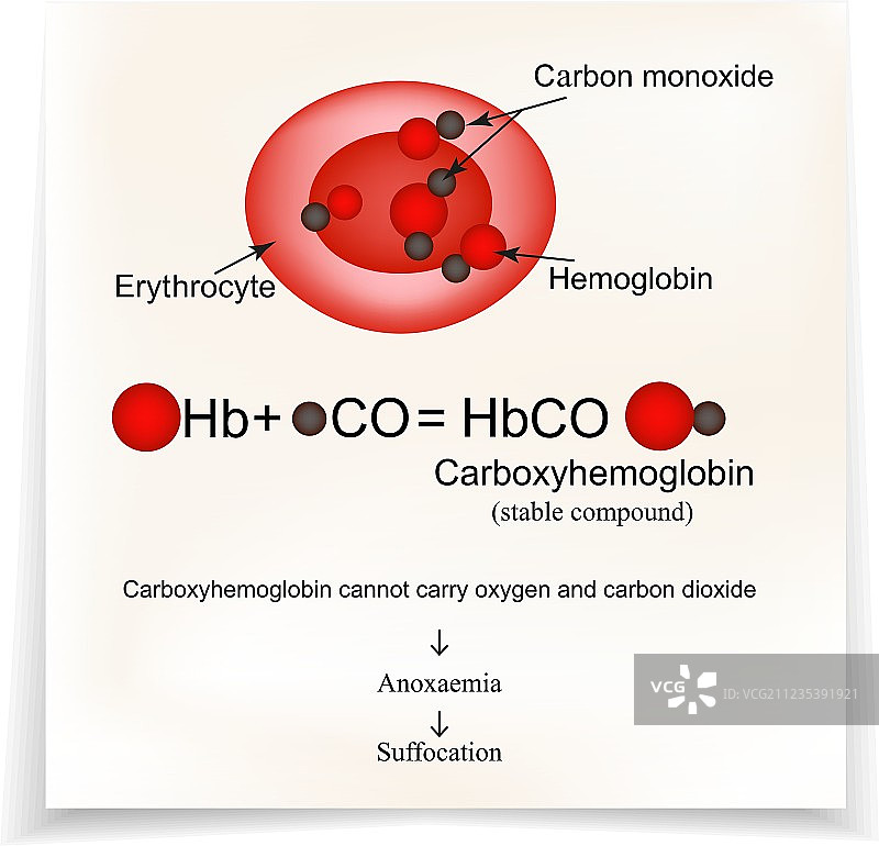 与血红蛋白碳结合的碳氧血红蛋白图片素材