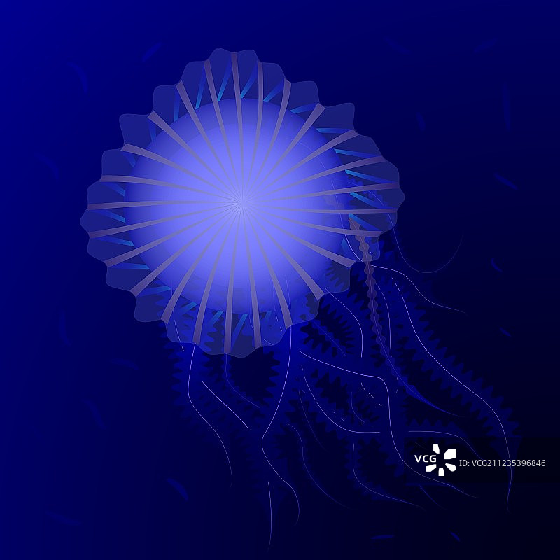 深海中的一只大海蜇图片素材