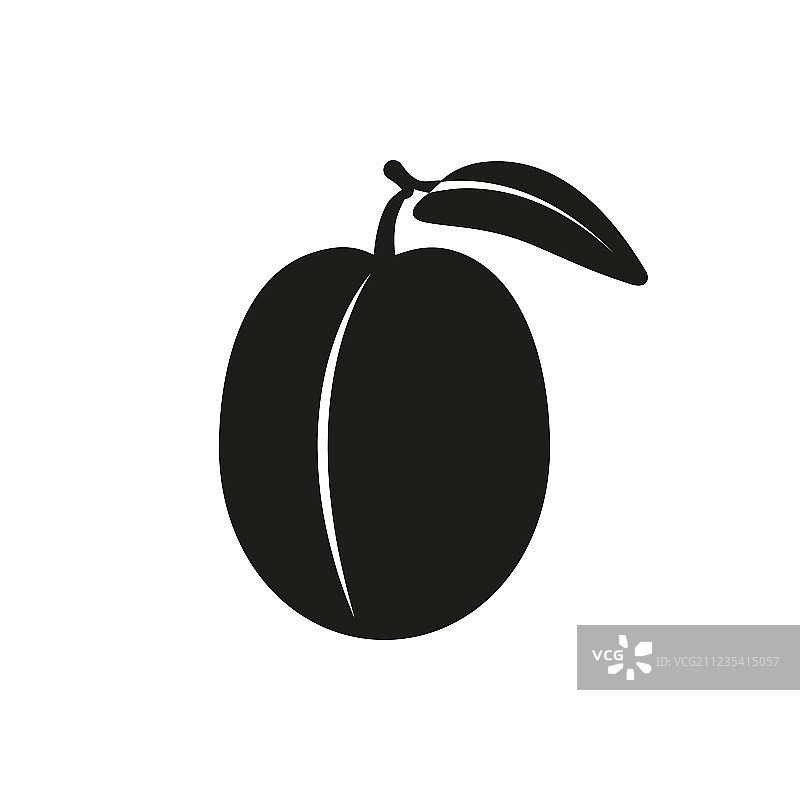 白色背景上的李子图片素材