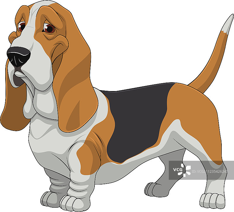 有趣的狗图片素材