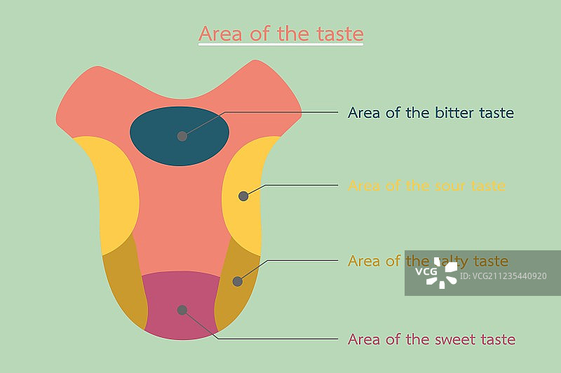 基本口味图片素材