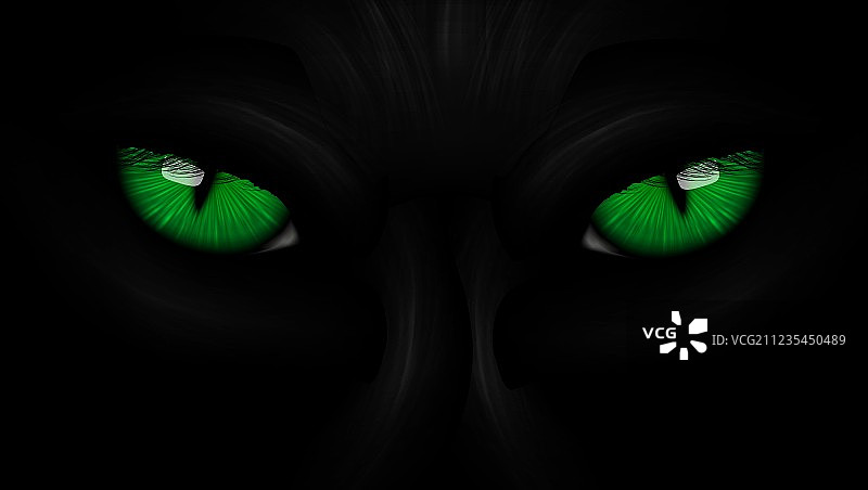 黑暗背景下的绿眼睛黑豹图片素材