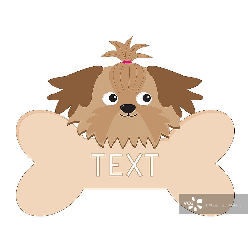 时尚的西施犬头部和大骨头图片素材