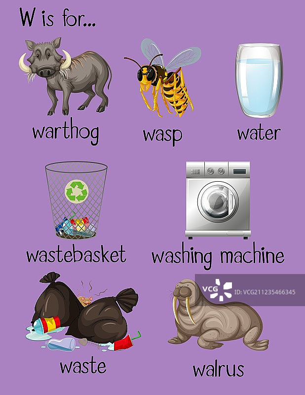 许多以字母W开头的单词图片素材