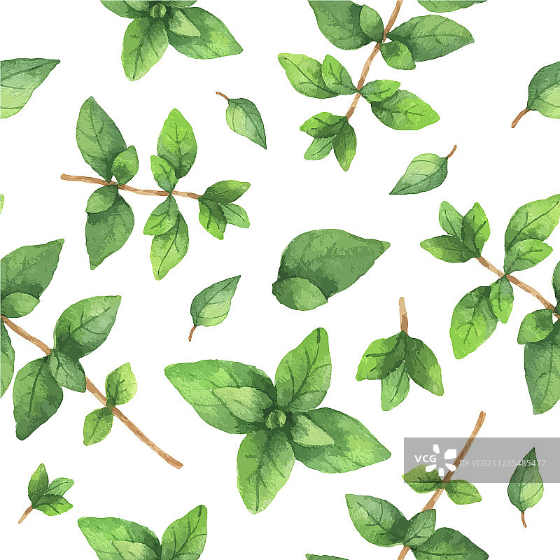 手绘草本植物水彩无缝图案图片素材