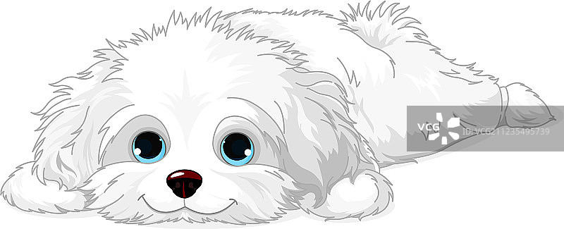 白色小狗图片素材