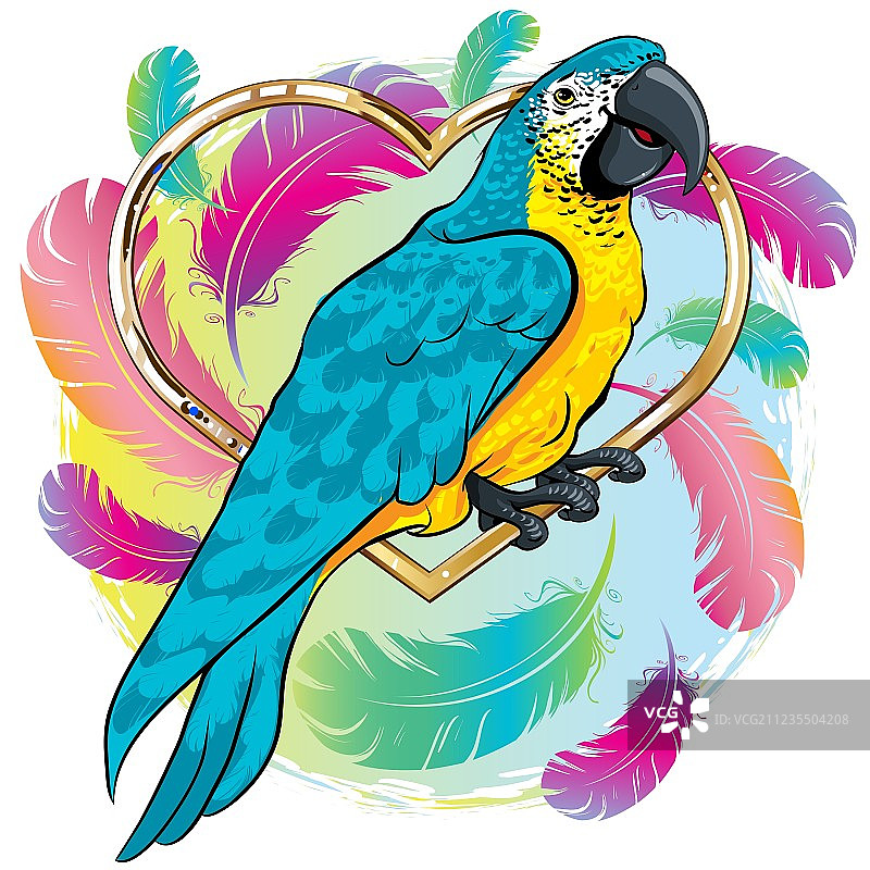 带蓝色翅膀的亮黄色鹦鹉图片素材