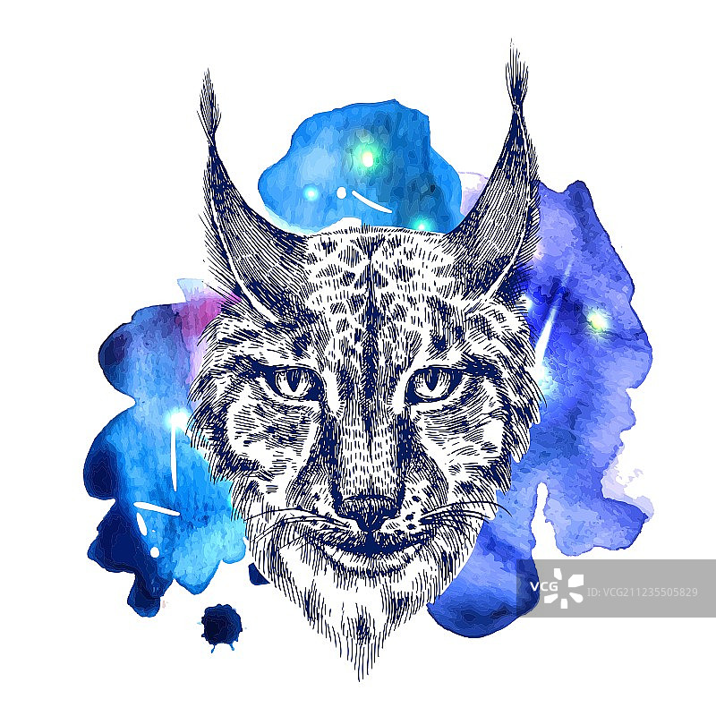 水彩空间上的动物图片素材