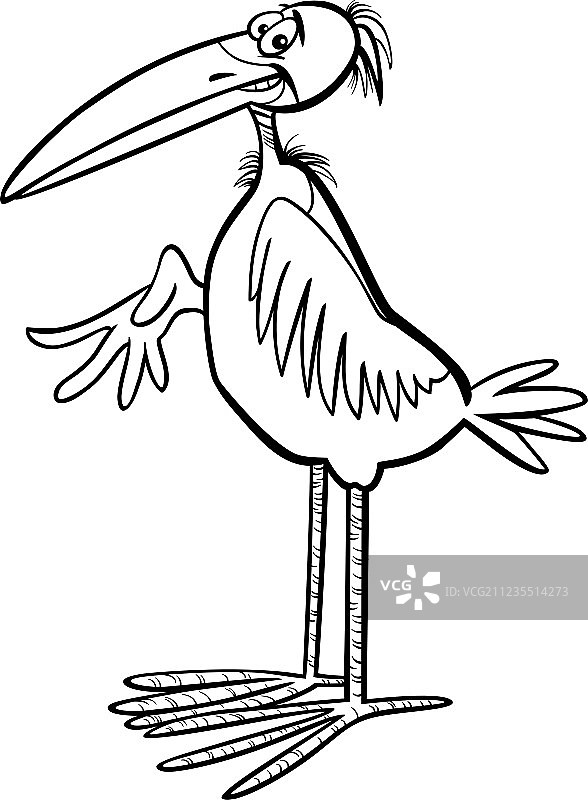 非洲秃鹳卡通填色页图片素材