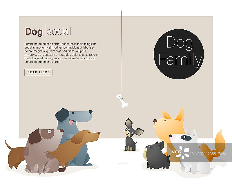 网页设计动物banner：狗1图片素材