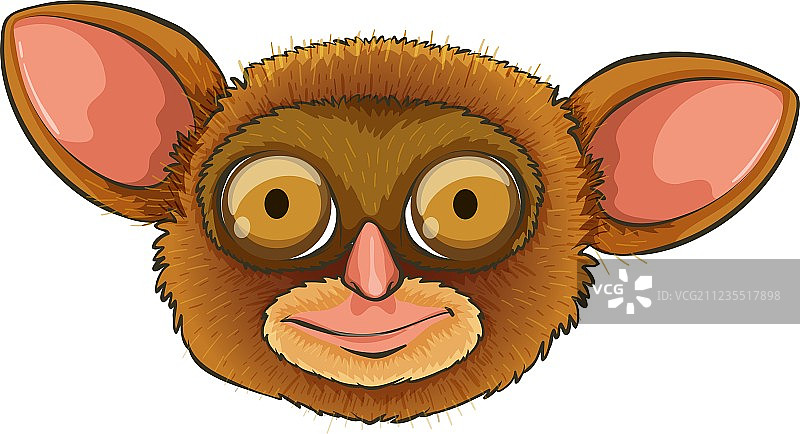 眼镜猴头部图片素材