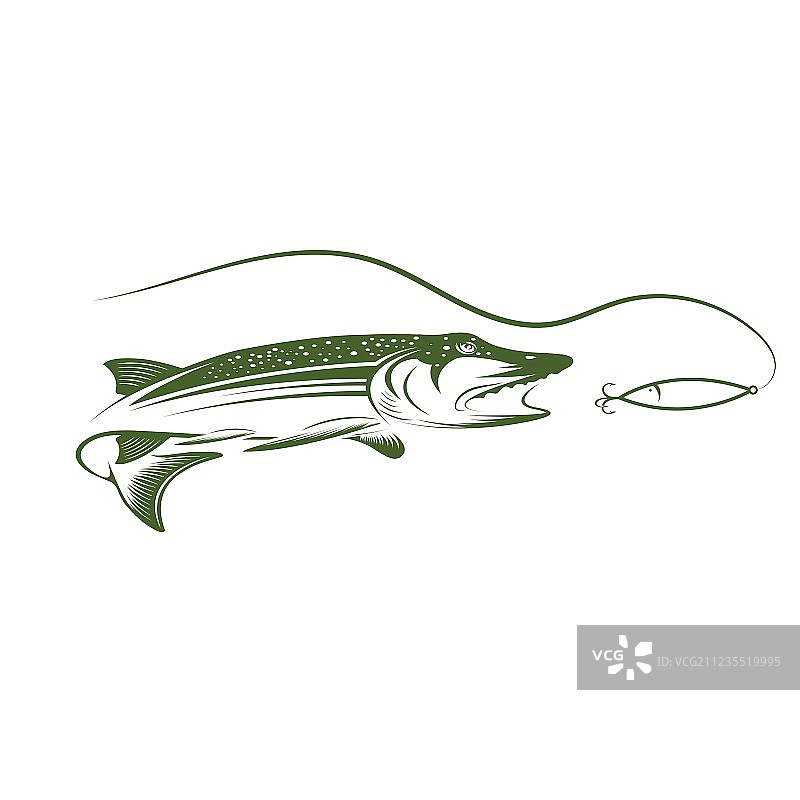 梭子鱼和鱼饵设计模板图片素材