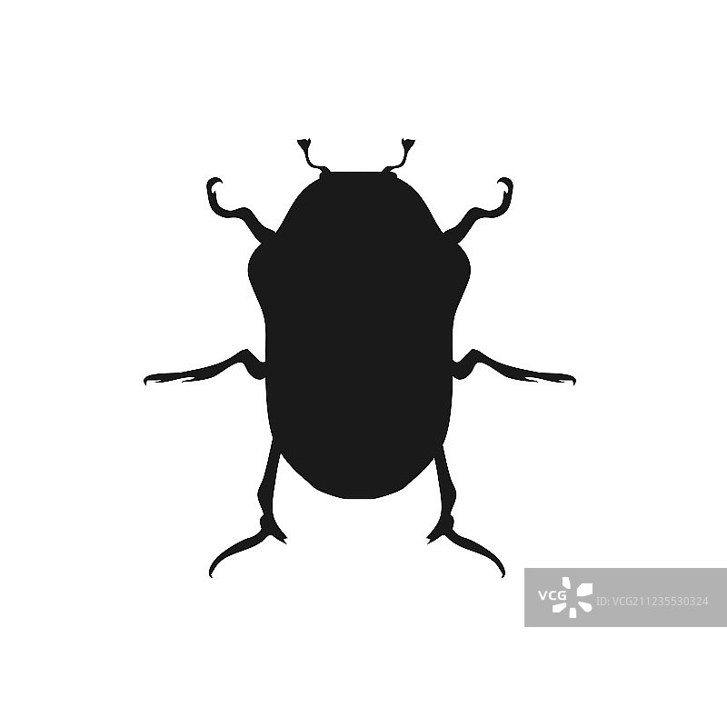 丽金龟昆虫扁平设计图片素材