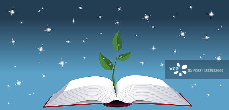 打开的书本与树苗图片素材