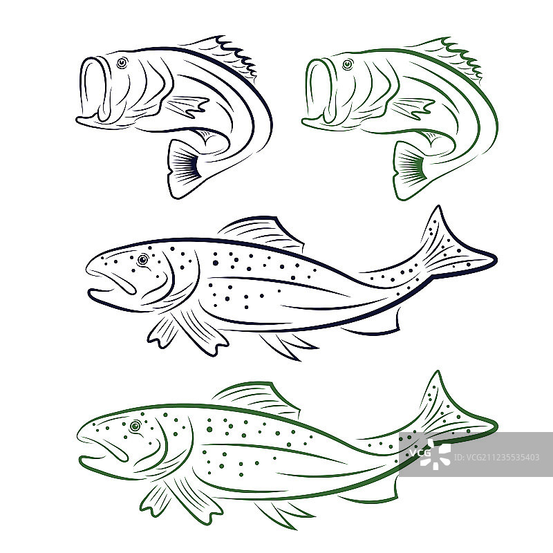 黑鲈和鳟鱼合集图片素材