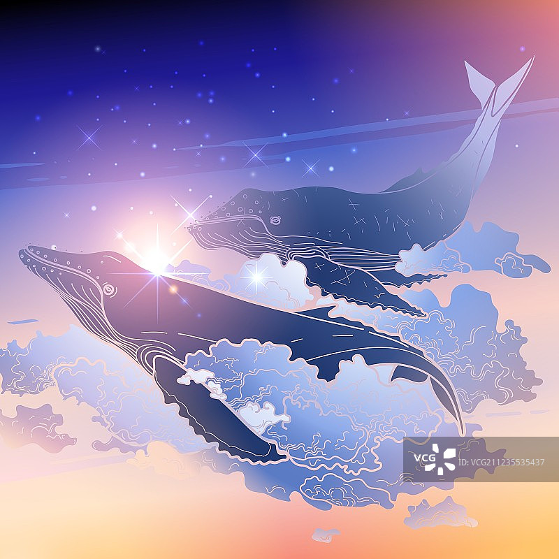 在天空飞翔的鲸鱼图形图片素材
