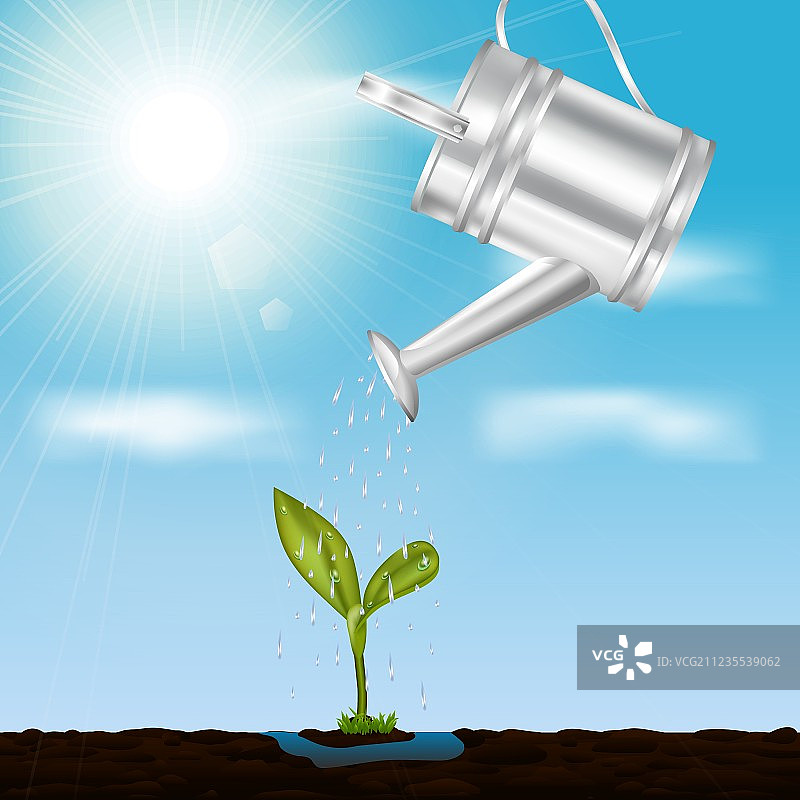 春季幼苗设计概念图片素材