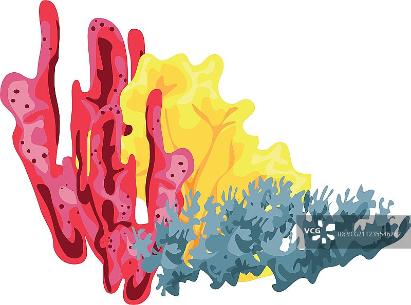 珊瑚礁图片素材