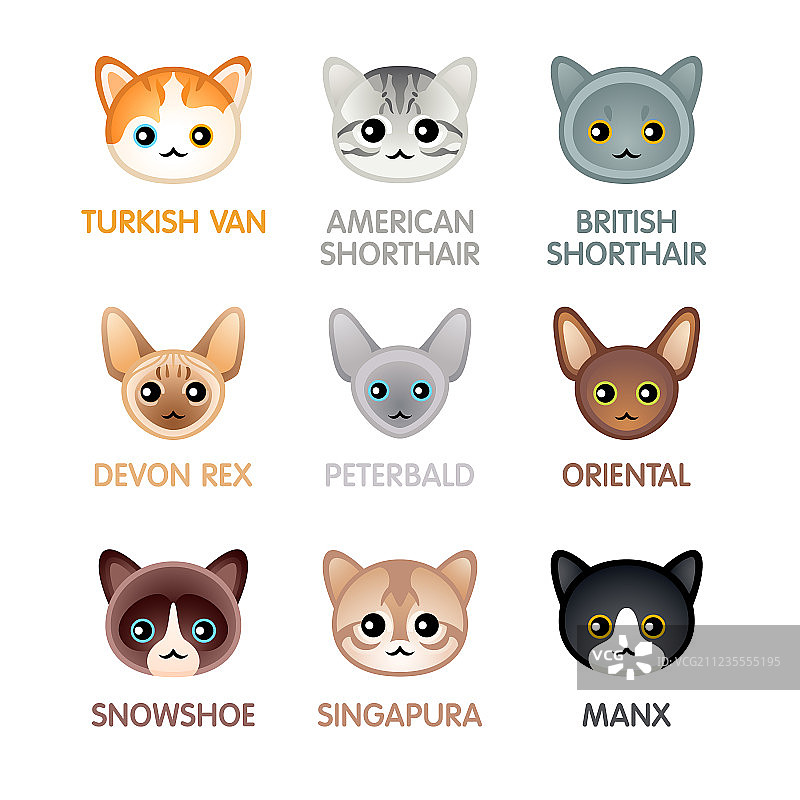 可爱猫咪图标系列III图片素材