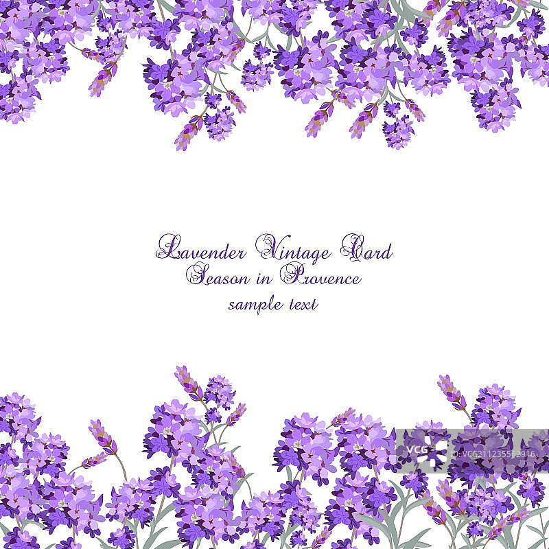 水彩薰衣草花卉卡片图片素材