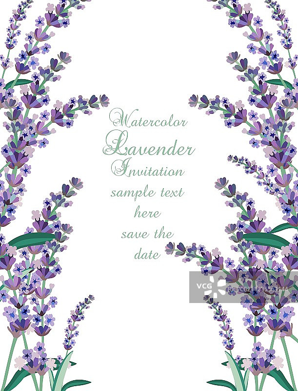 薰衣草卡片边框图片素材