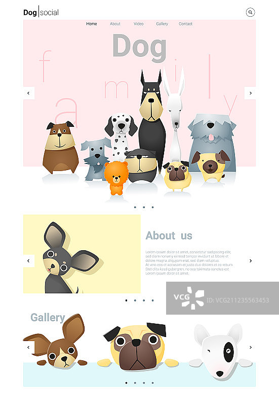 动物网站banner和信息图图片素材