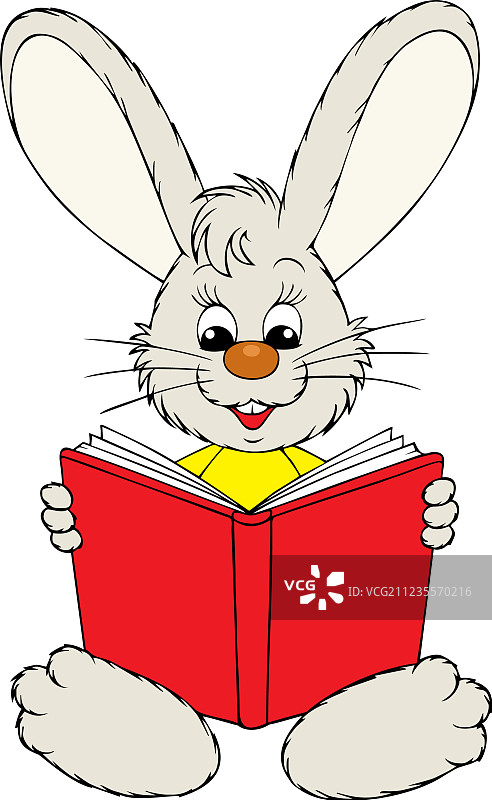 兔子在读红色的书图片素材
