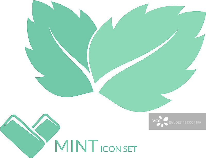 白色背景上的独立薄荷口香糖叶子图片素材