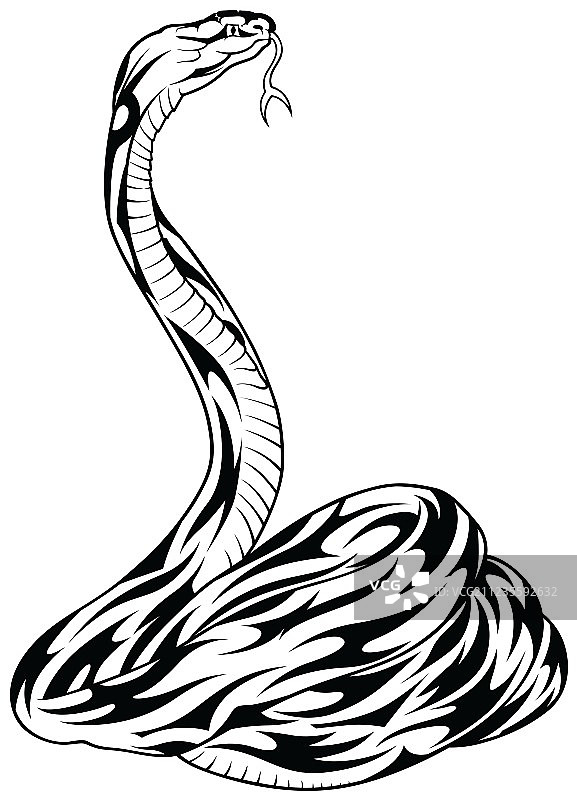 蛇纹身图片素材