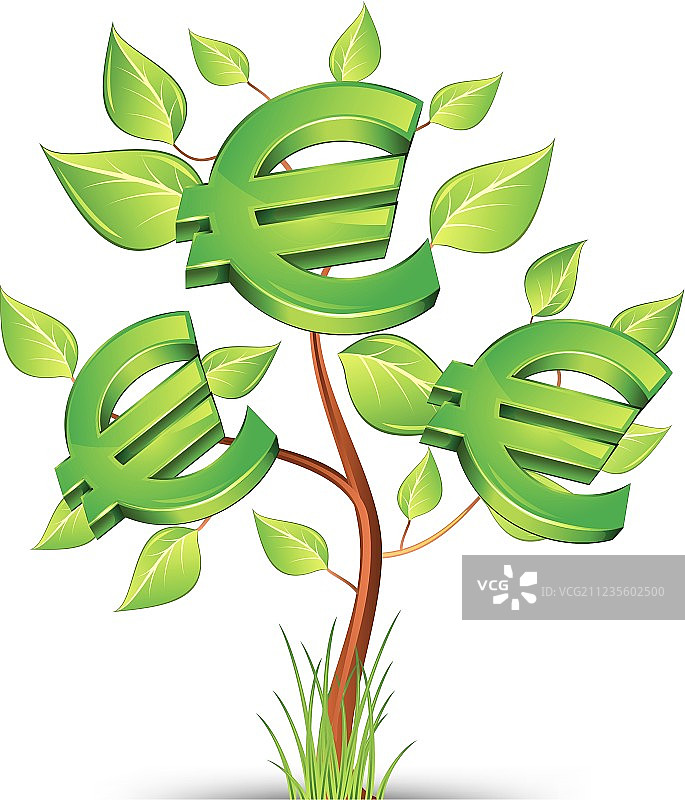 欧元树图片素材