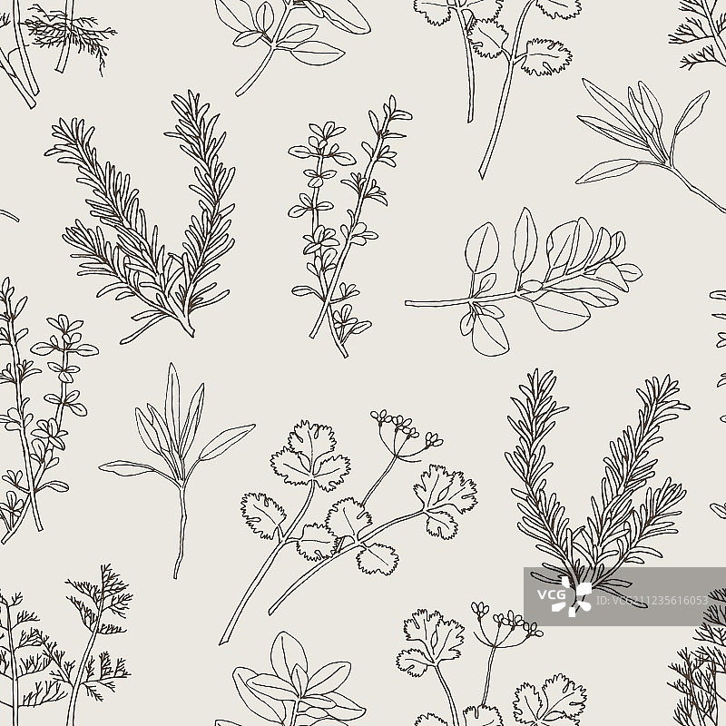 草本植物叶子无缝图案图片素材