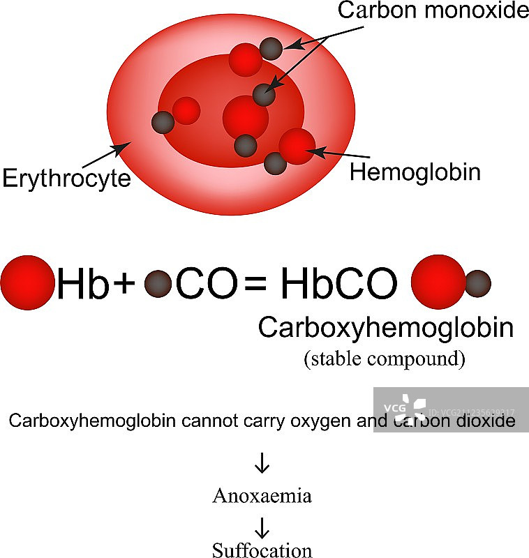 与血红蛋白碳结合的碳氧血红蛋白图片素材