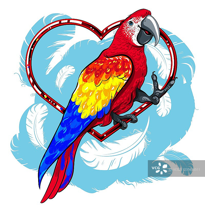 带蓝色翅膀的彩色红色鹦鹉图片素材