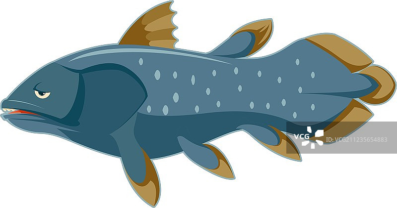 卡通蓝色腔棘鱼图片素材